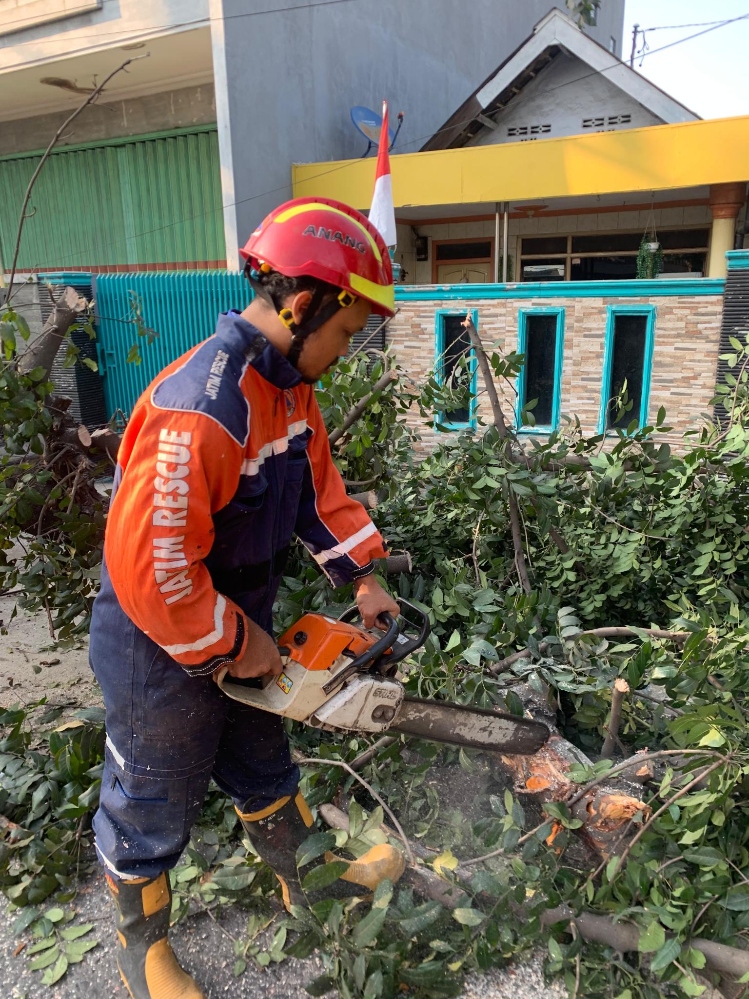 BPBD Kabupaten Pasuruan Imbau Warga Waspada Pohon Rawan Tumbang, Cuaca Relatif Kondusif