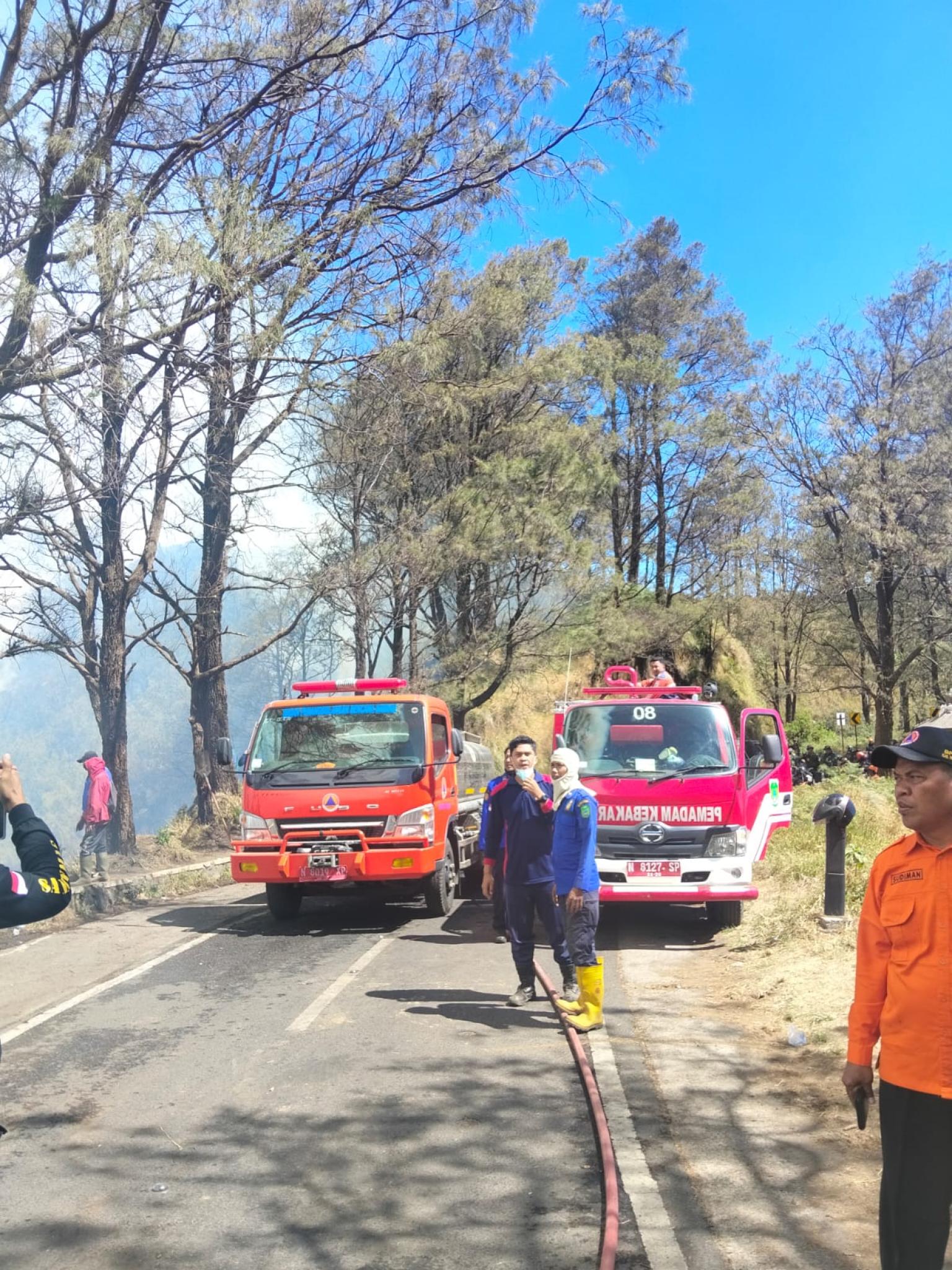 Karhutla Bromo Masih Berlangsung, BPBD Pasuruan Perkuat Pemantauan dan Penanganan di Wilayah Tosari