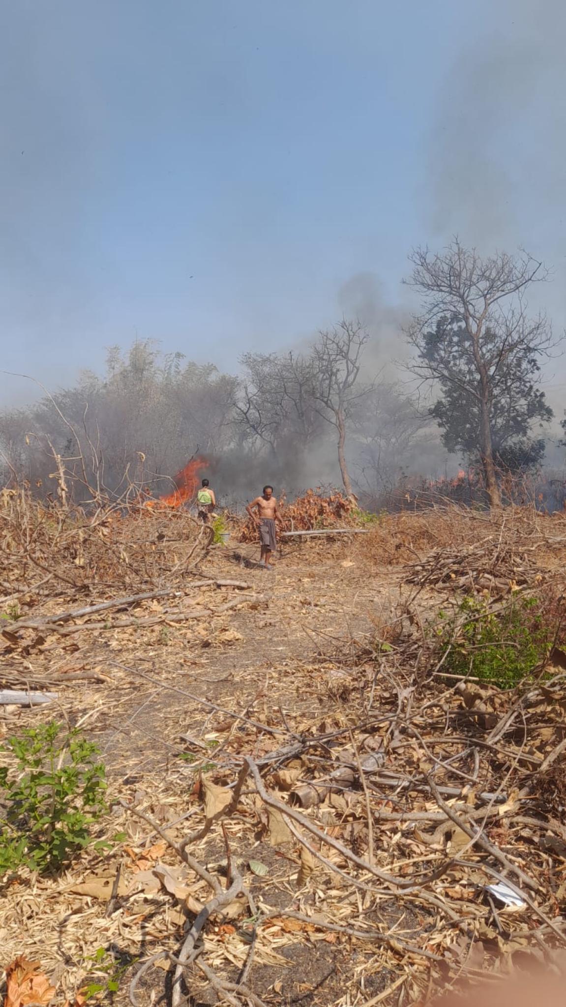 Kebakaran Rumpun Bambu Terjadi di Pasrepan, BPBD Kabupaten Pasuruan Lakukan Penanganan Cepat